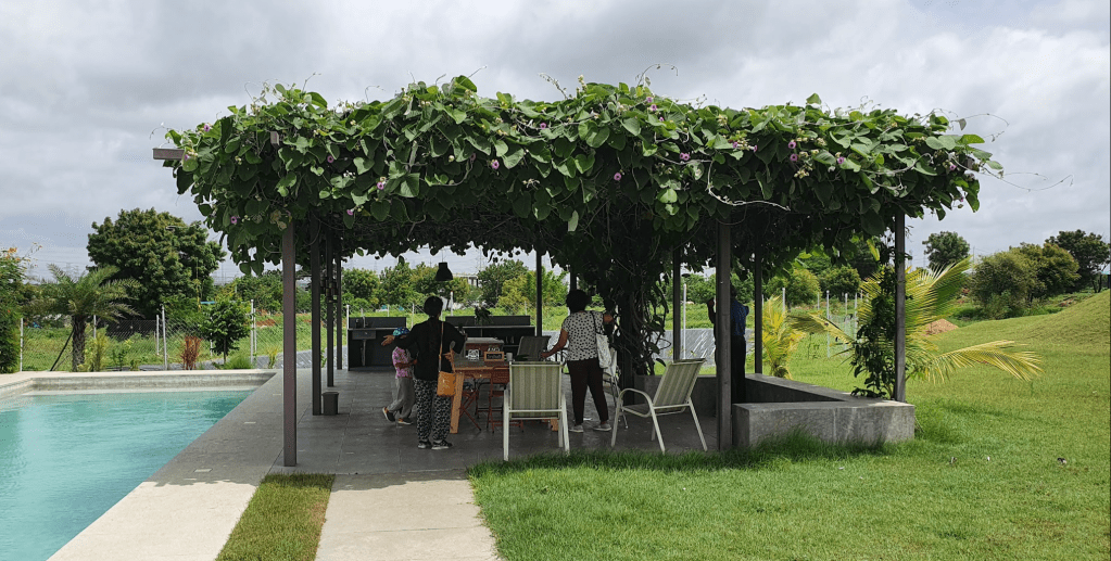 Day Trip near Hyderabad – The Baby Elephant&nbsp;Farm