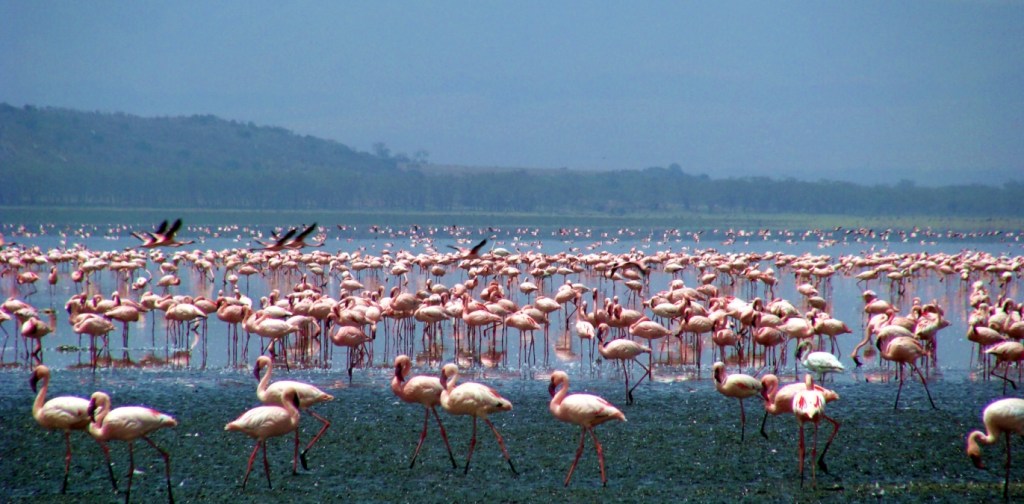 Travelling Tips: Avoid the Hype and Big Expectations from your Travel&nbsp;Destinations