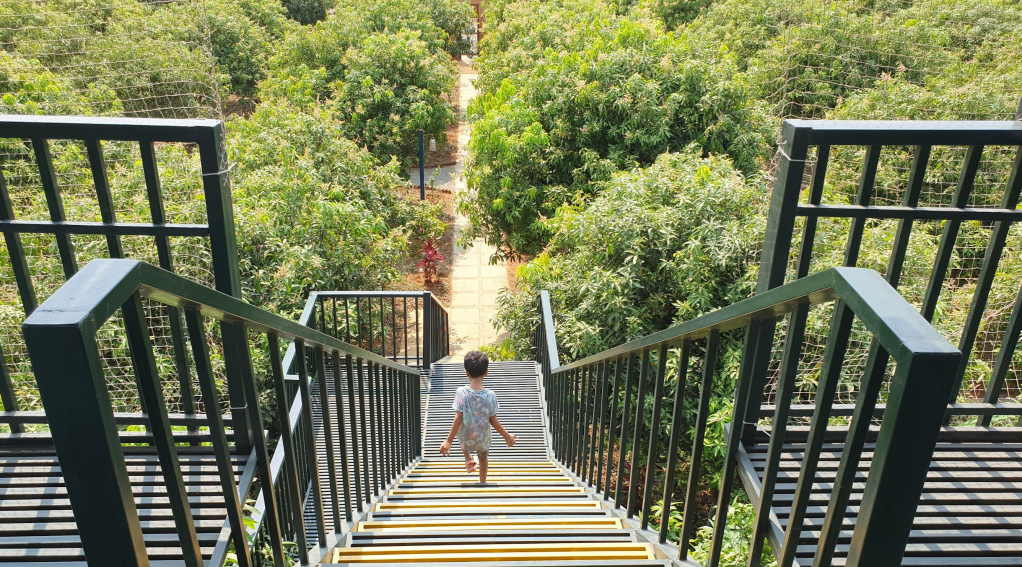 Hyderabad Staycation: Life at&nbsp;Prakasham