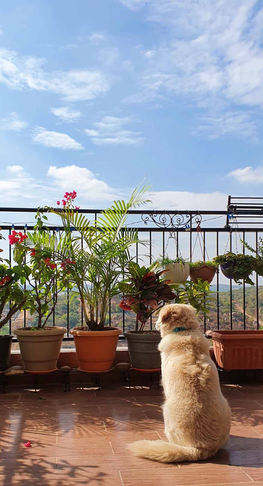 My Top Recommendations for Biographies with&nbsp;Animals