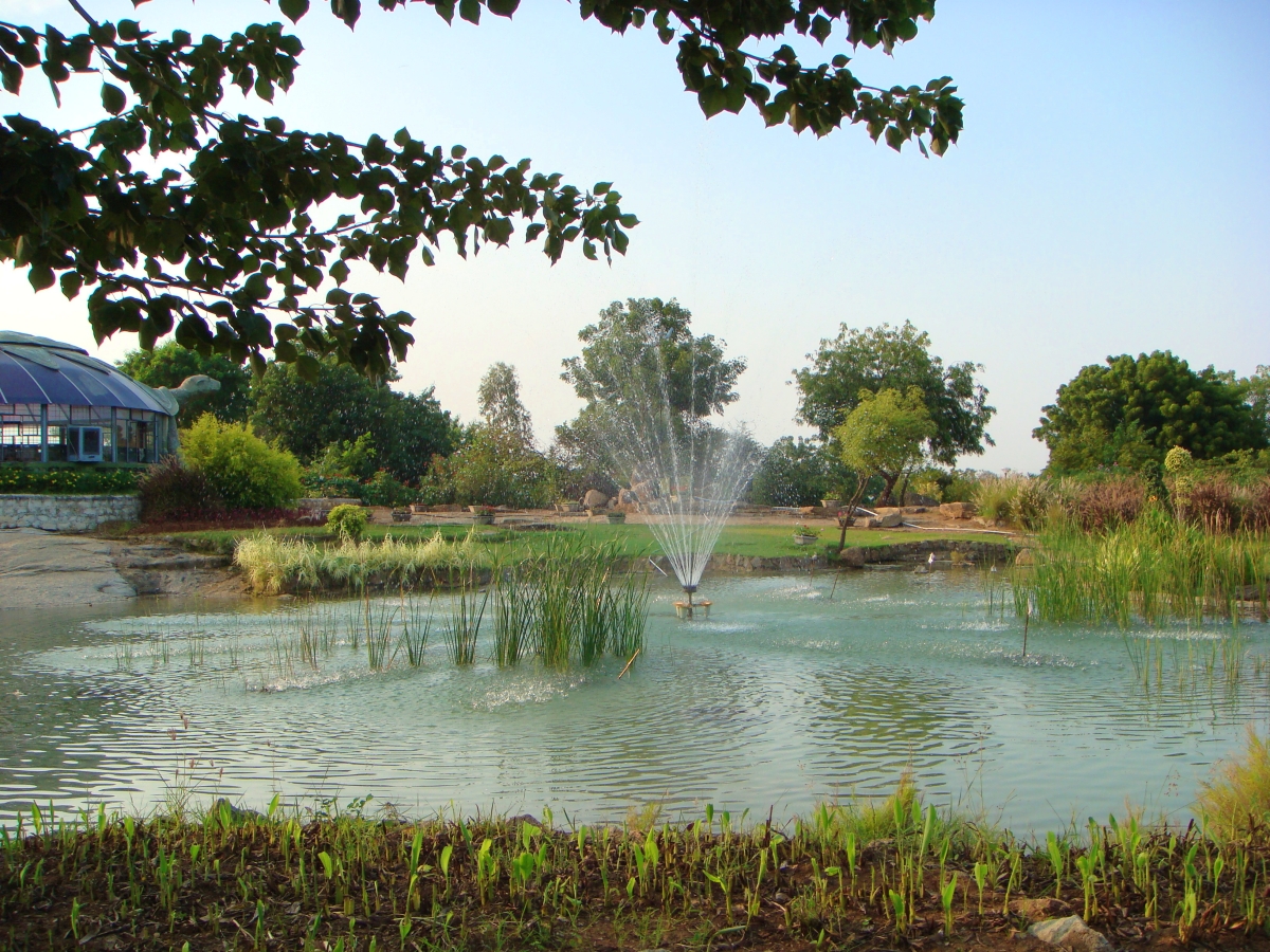 fountain at the botanical gardens k
