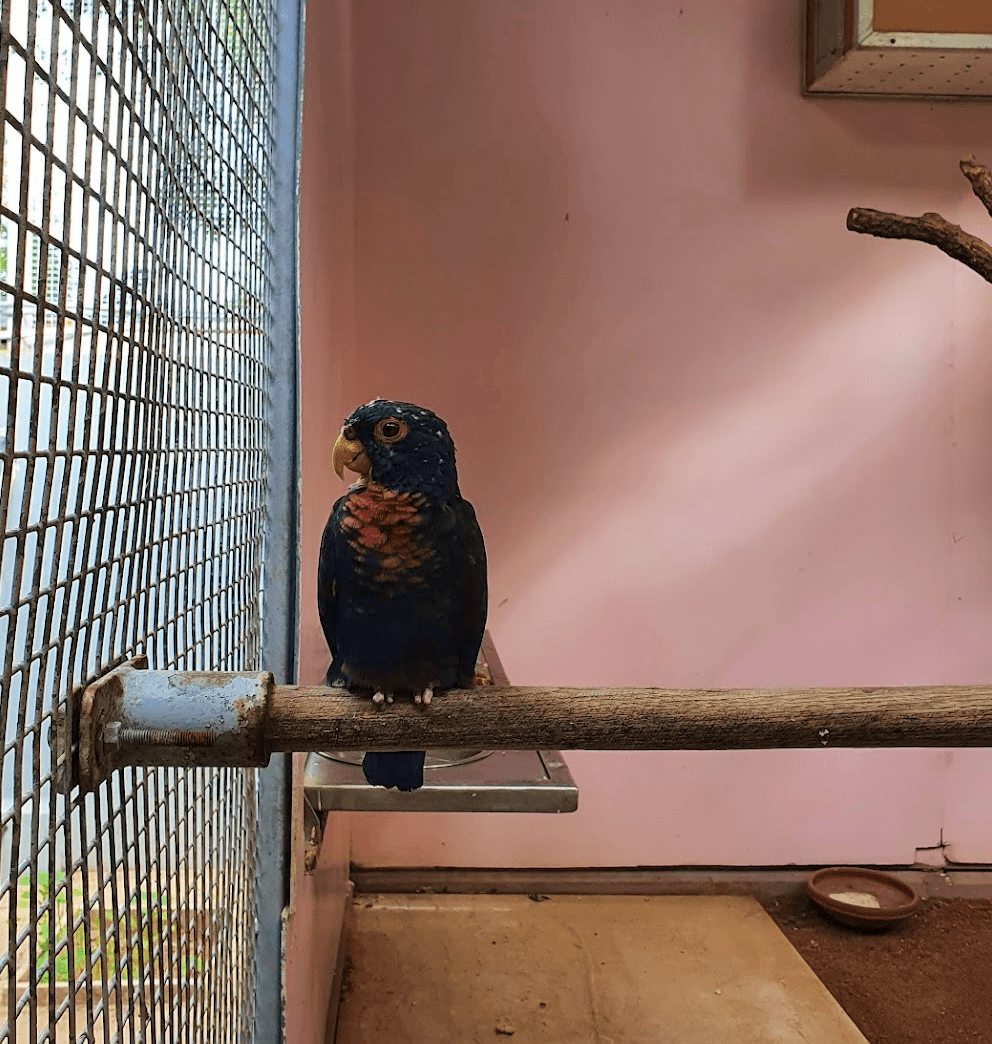 Overcoming a difficult time: when molehills become&nbsp;mountains