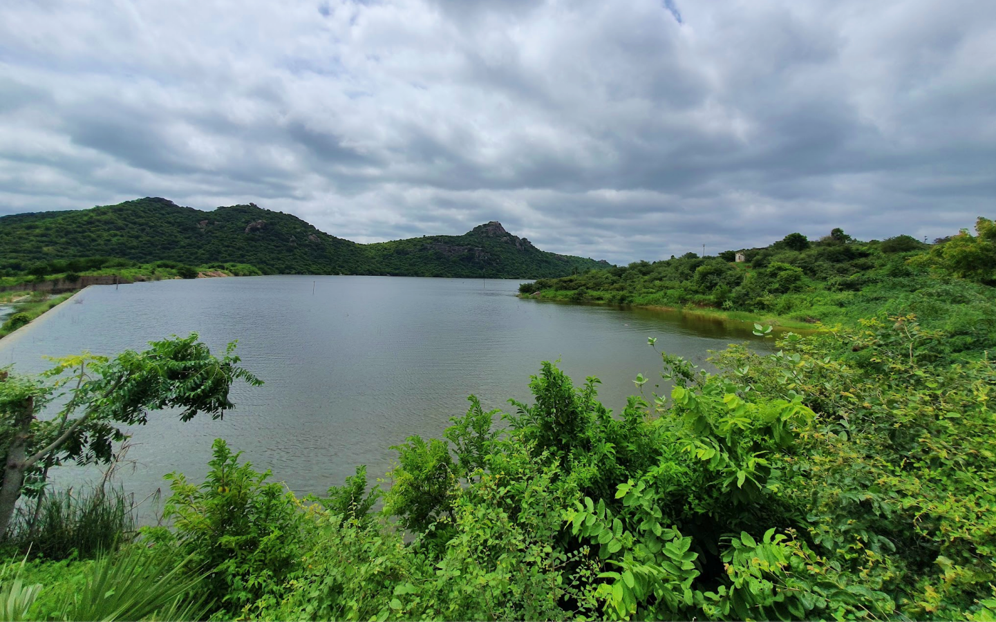 indira sagar pond with blue skies above and lush greenery around