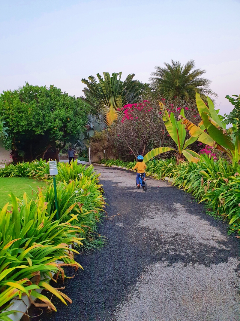child cycling on a gravel path flanked by lots of plants and trees on both side