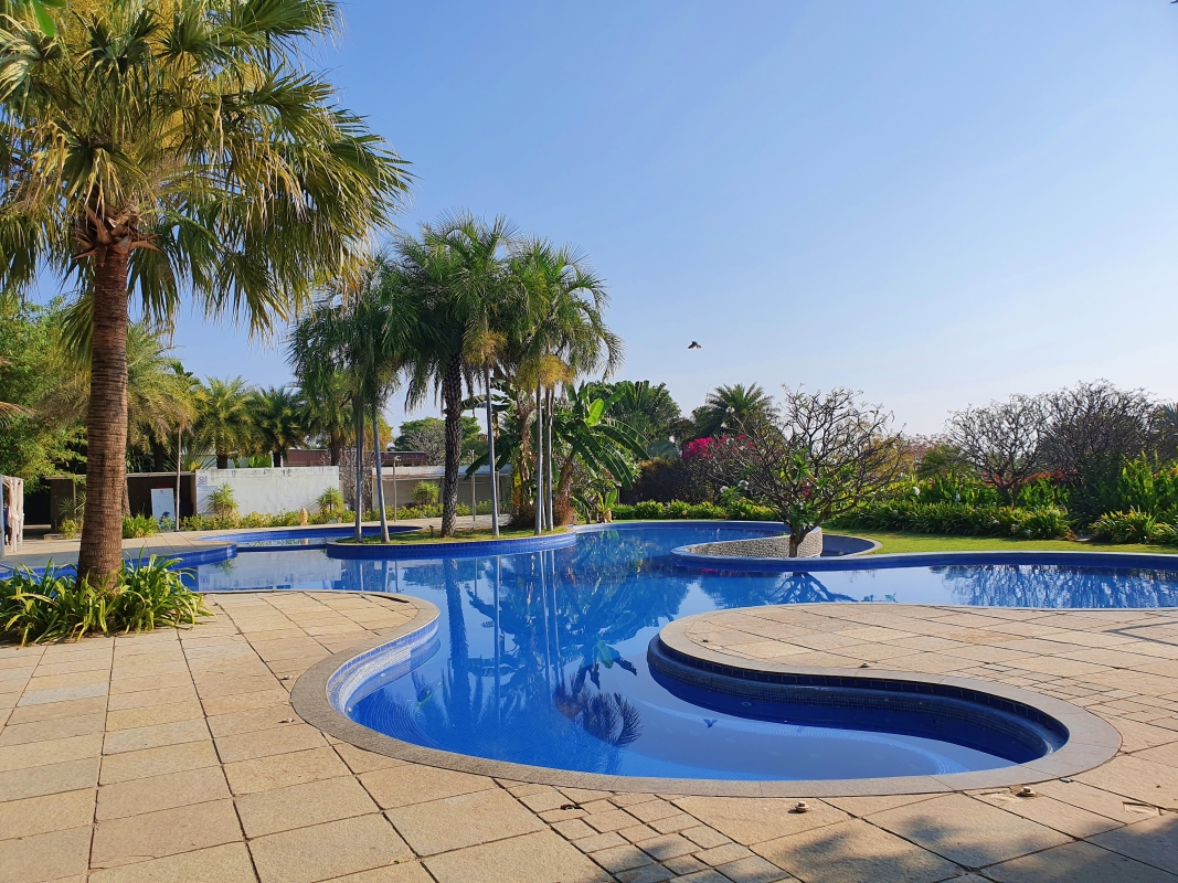 swirly-shaped swimming pool at a resort