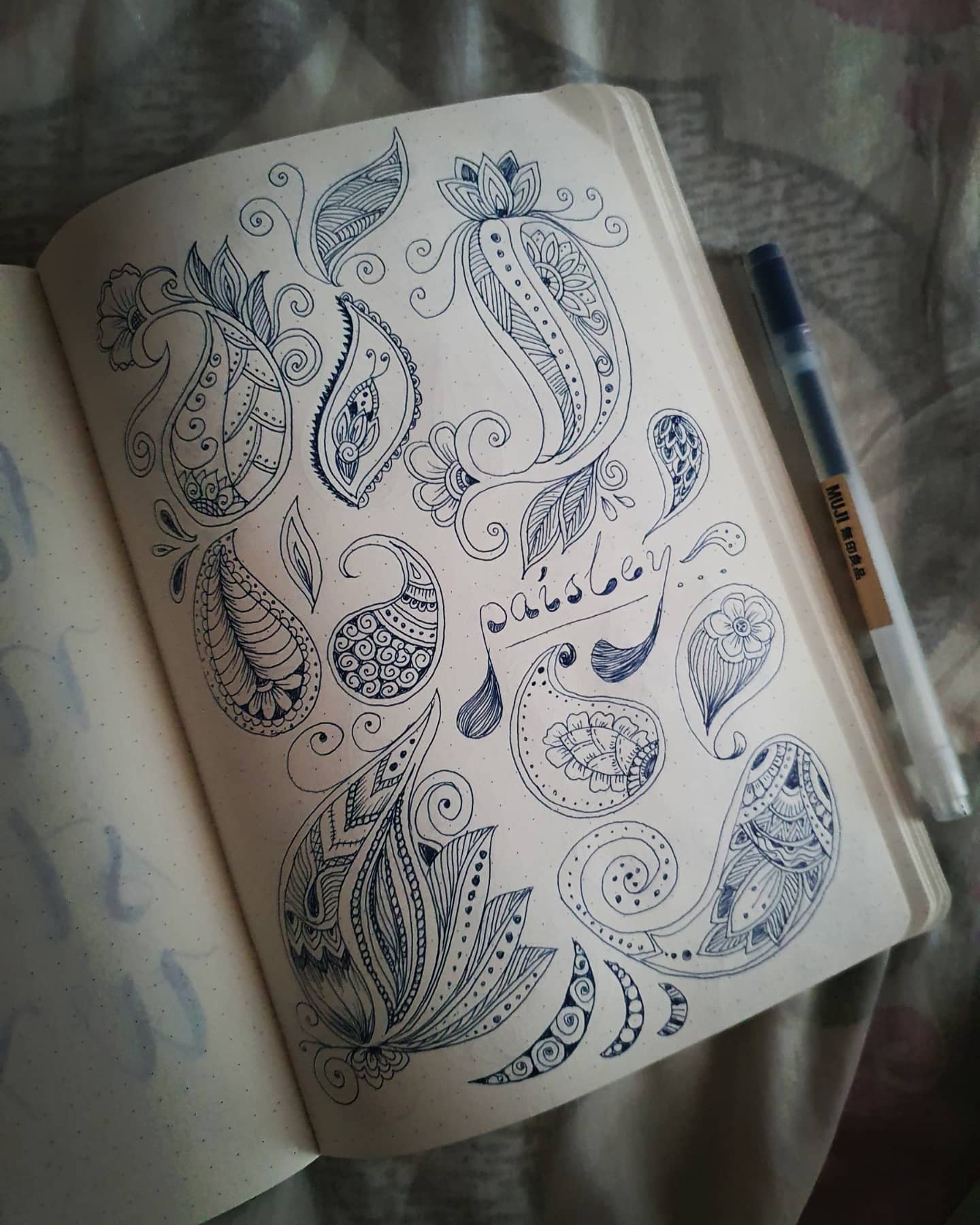 Paisley drawings