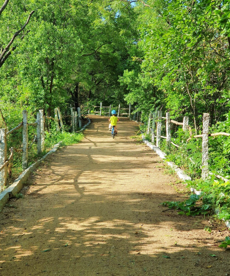 child cycling on a natural trail surrounded by trees