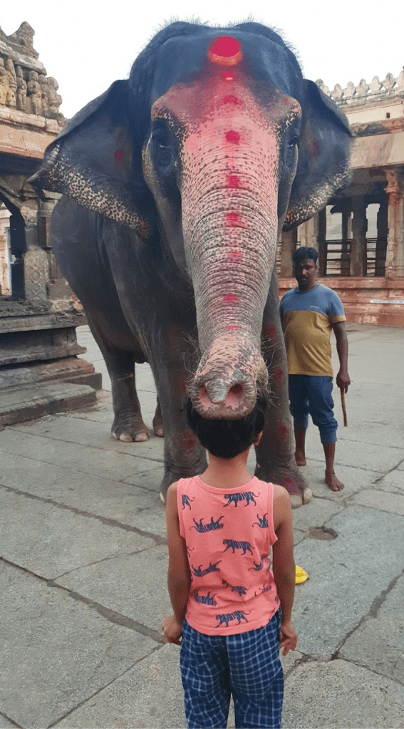 Hampi Virupaksha temple resident elephant giving blessings with her trunk on the head of a child