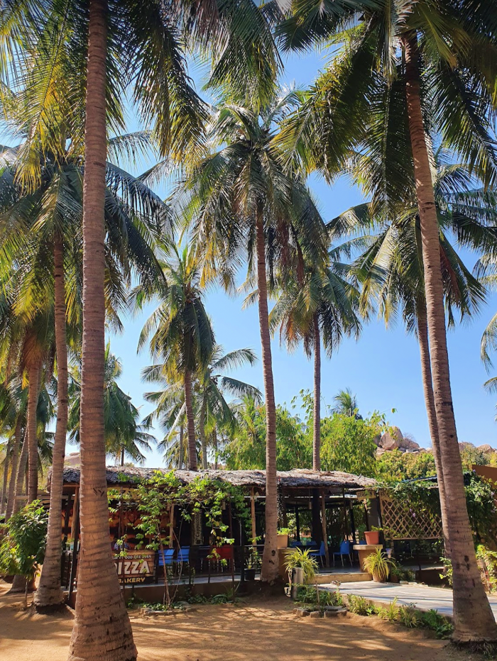 Hampi Whispering Boulders shack restaurant surrounded by tall palm trees