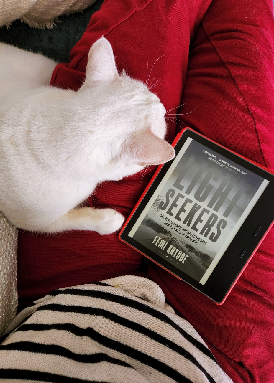 Book Review: Lightseekers by Femi&nbsp;Kayode