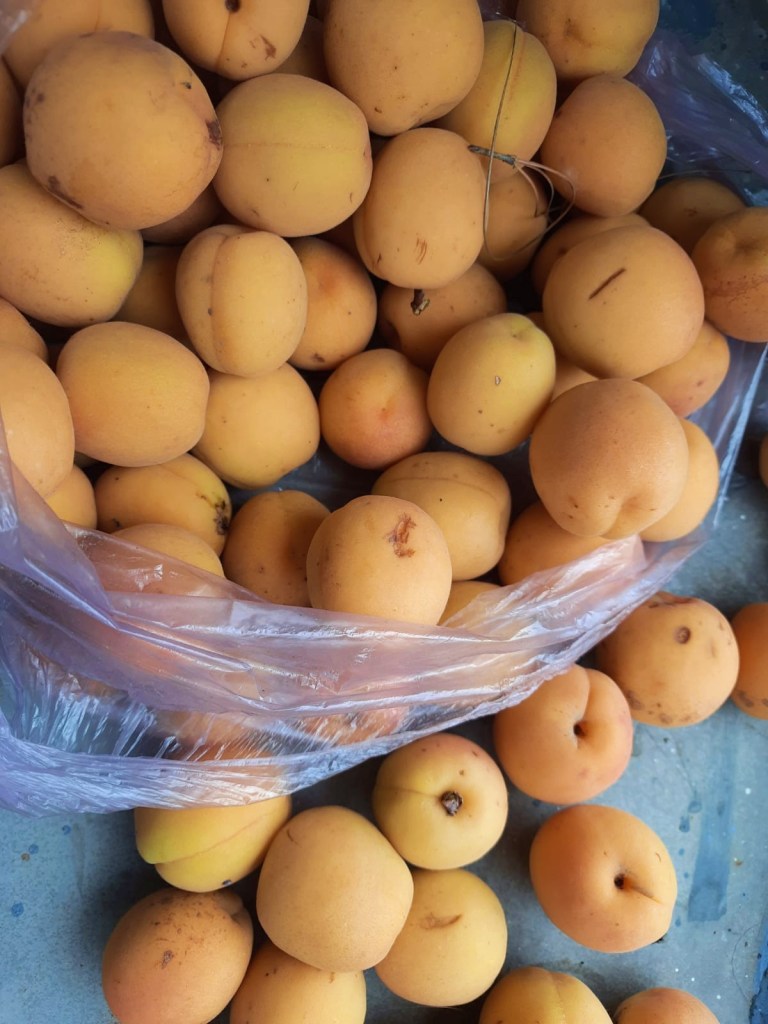 bag of apricots