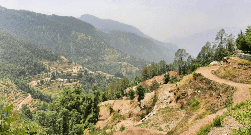 steppes farming on the hills of north india