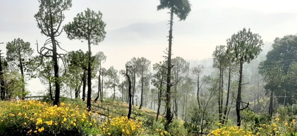 A Summer Sojourn in the Hills of North India 