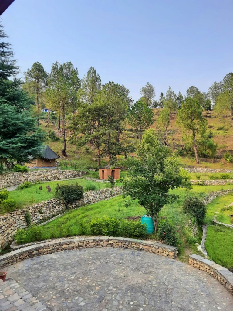 view of green forests from the resort