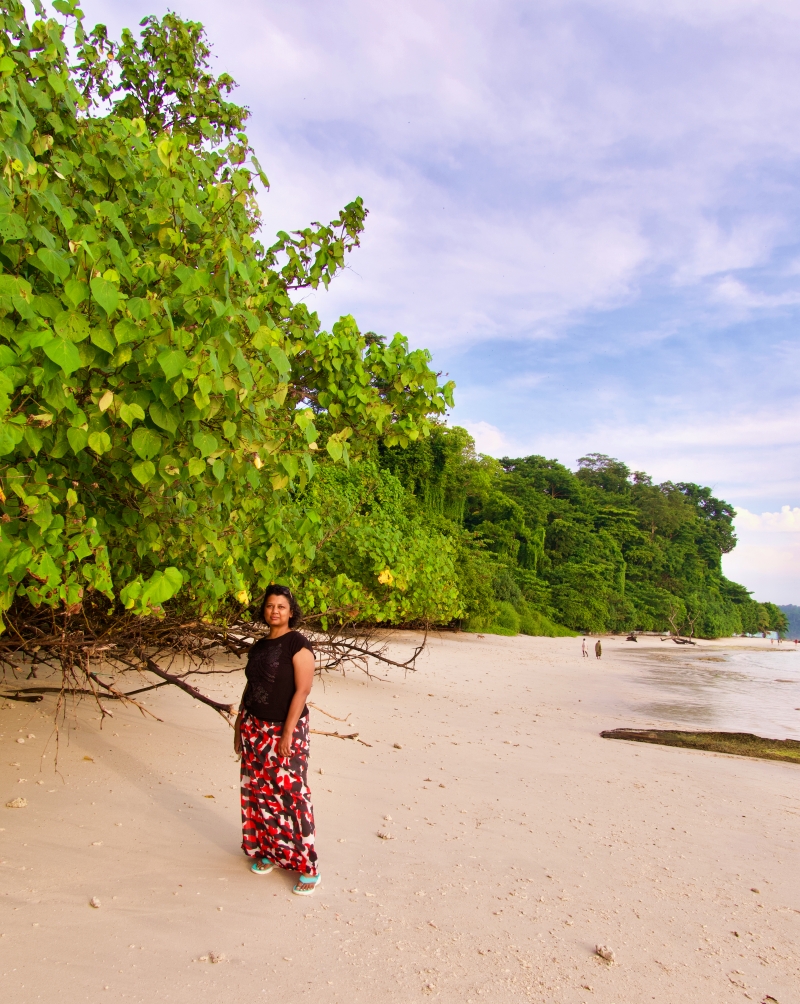 mangroves on the sandy beach with a woman in black t-shirt and red a multicoloured sarong standing in front of it