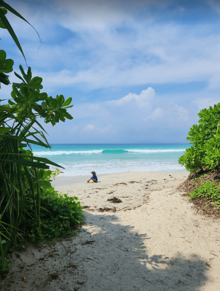 child playing on a sandy radhanagar beach at havelock island with some mangroves in the foreground and the blue sea and sky at the background