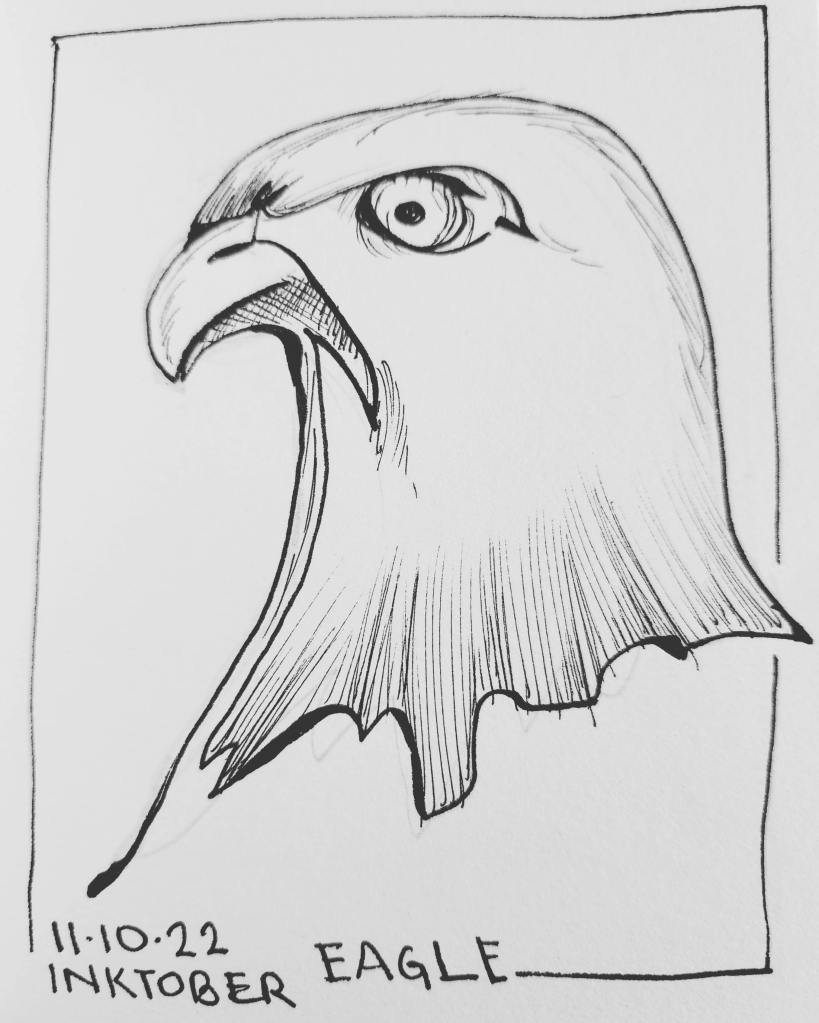 Inktober 2022 Day 11 prompt: Eagle. Pen and ink simple drawing of an eagle's side head profile