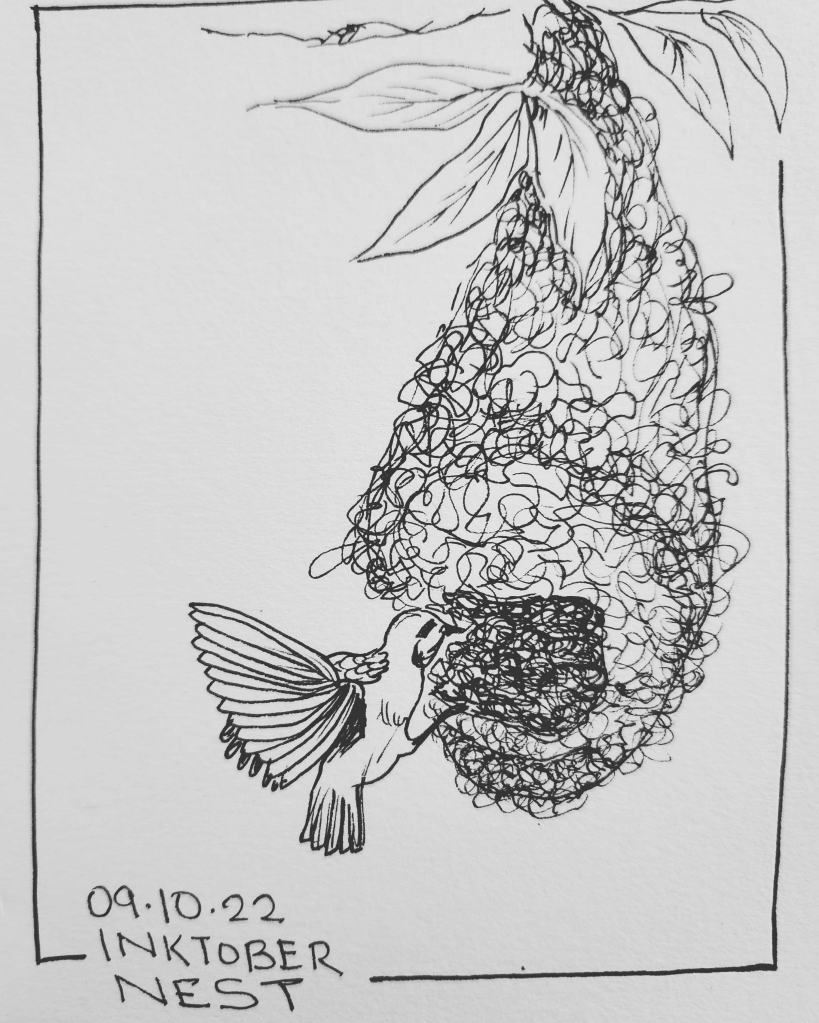Inktober 2022 Day 9 prompt: Nest. Pen and ink drawing of a weaver bird's nest with the bird fluttering at the opening of the nest