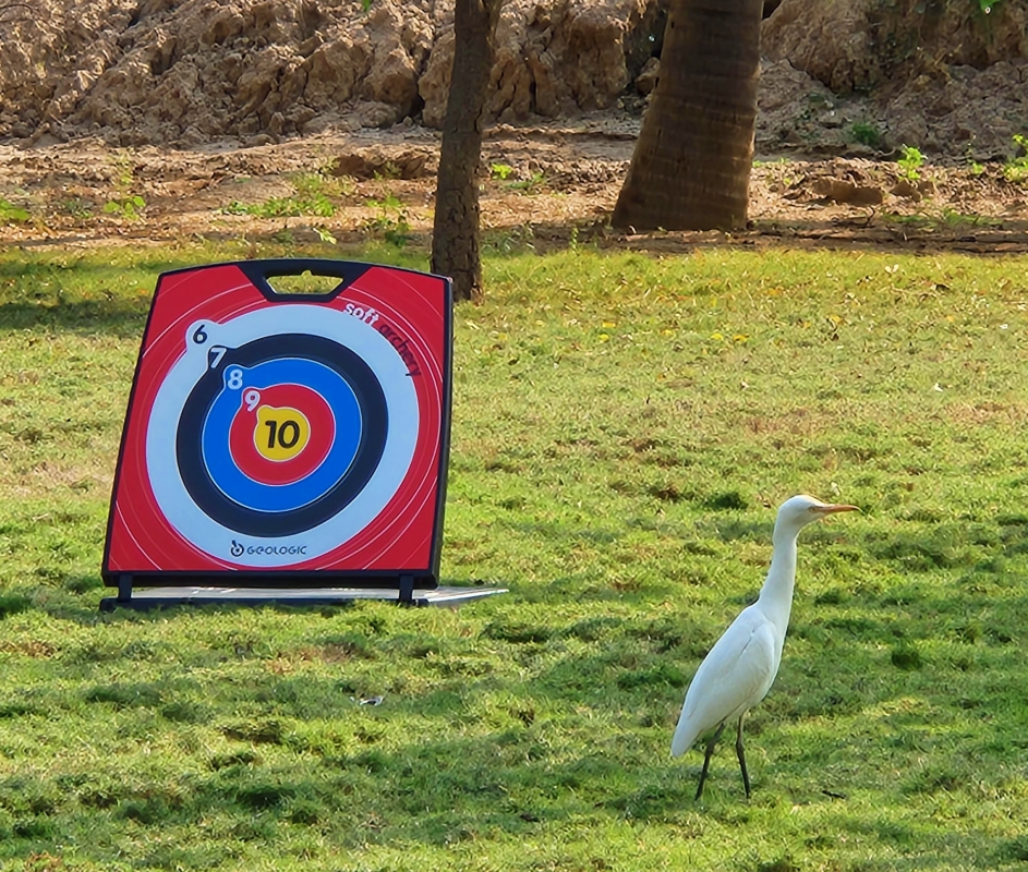 White heron strolling on the lawn with an archery target board behind it