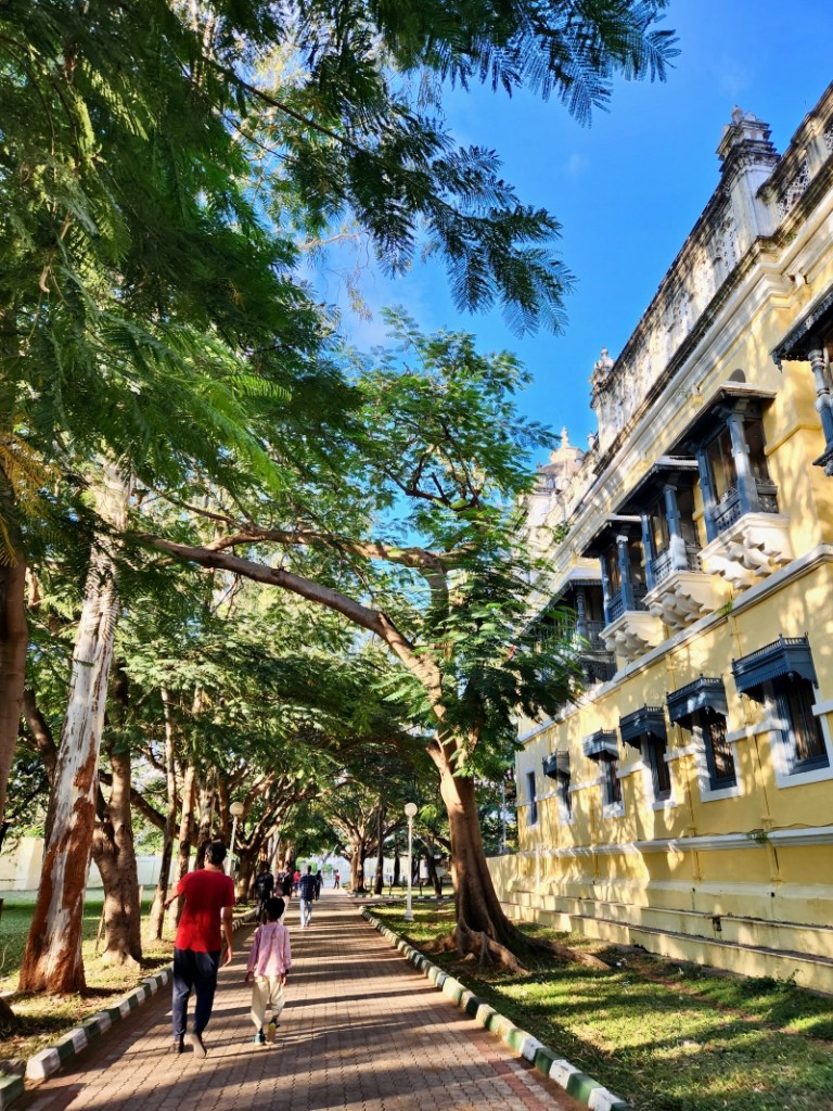 Mysore palace grounds with trees lining the pathway and a yellow structure on the right. People are walking under the shade of the tall trees on the paved path