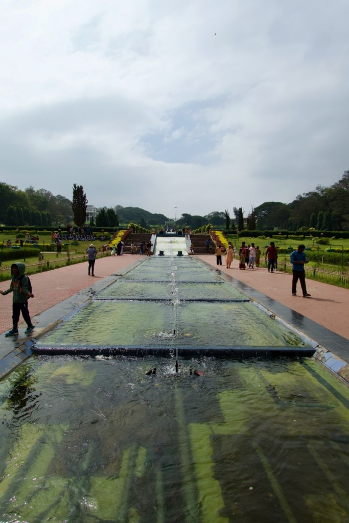 water pool filled with algae at brindavan gardens, mysore