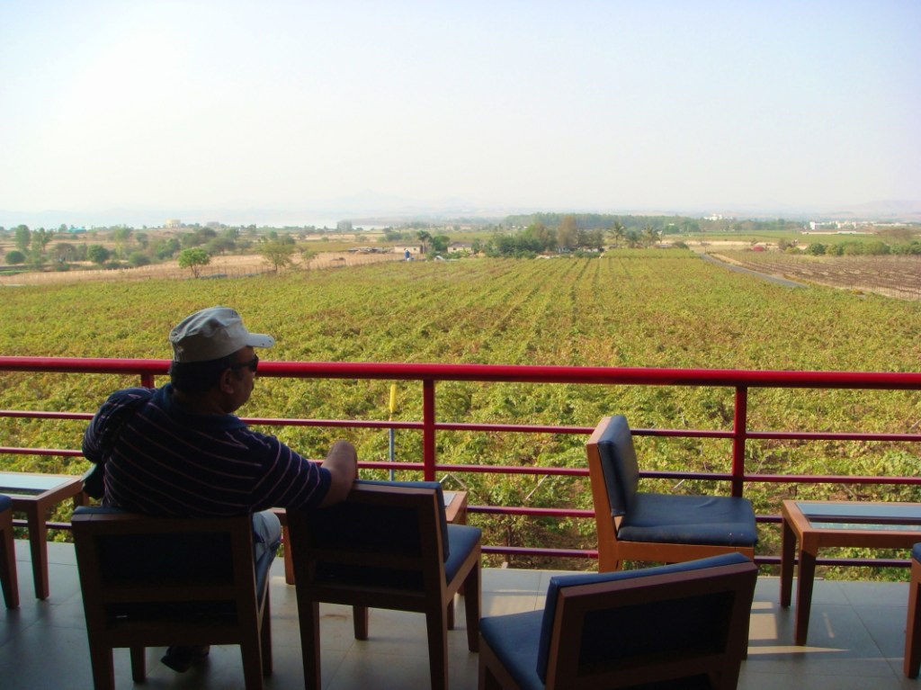 sula vineyards