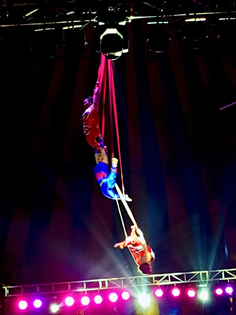 swinging circus acrobats 