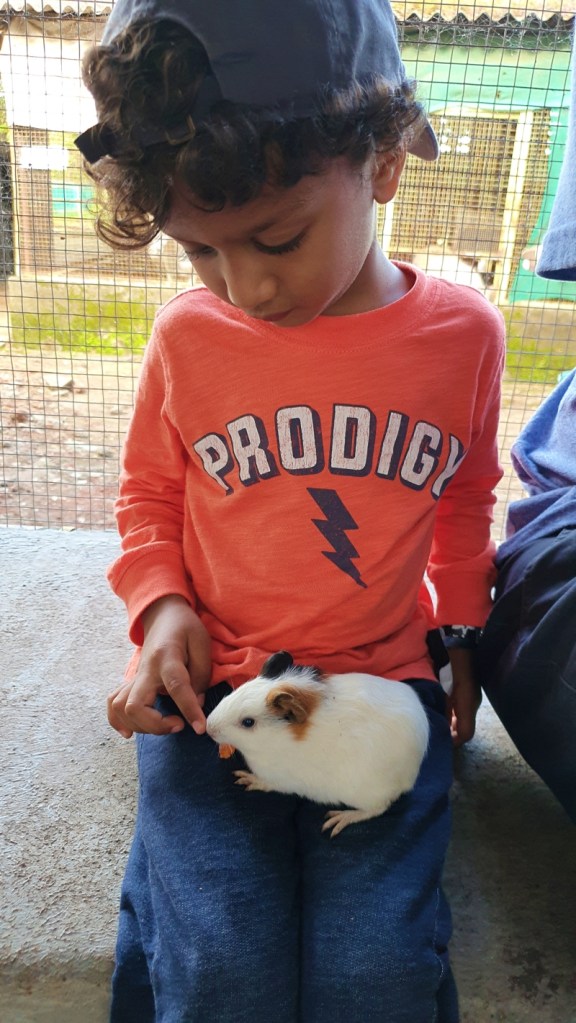 boy holding a hamster