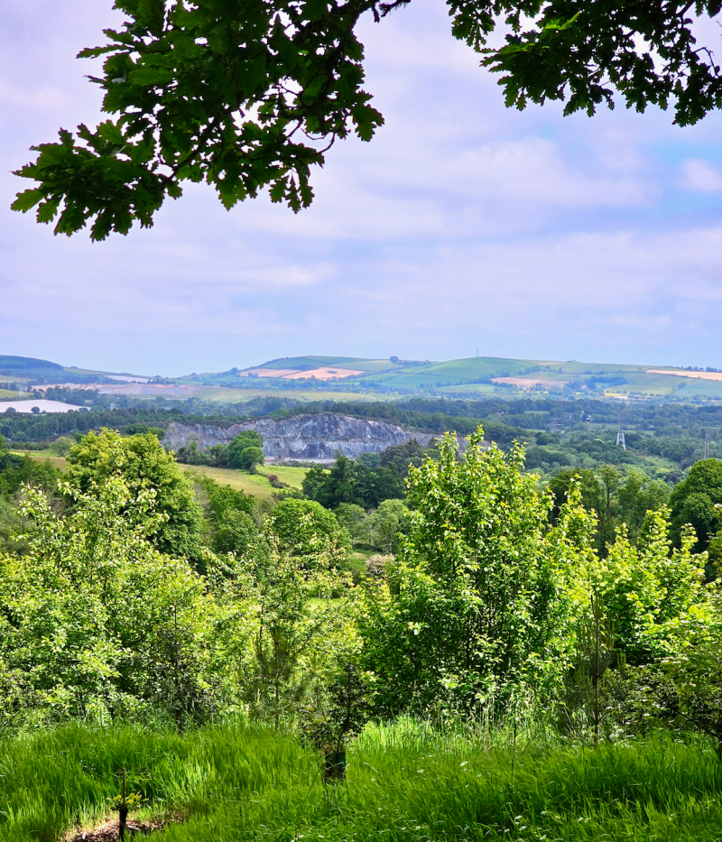 Botanical Gardens Kilmacurragh, Ireland