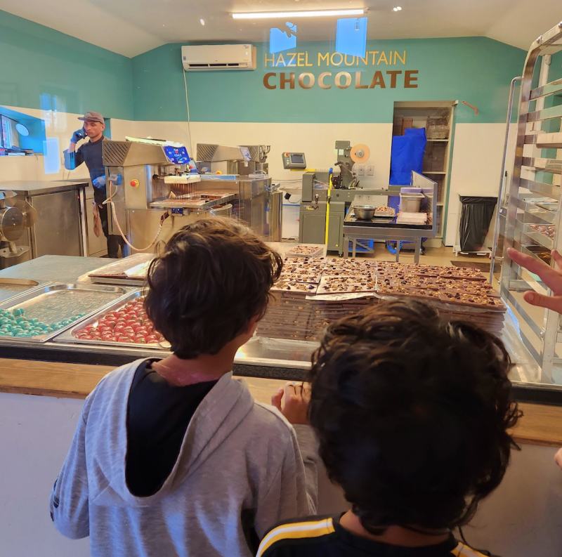Kids watching how to make chocolate at Cafe Hazel Mountain Chocolate