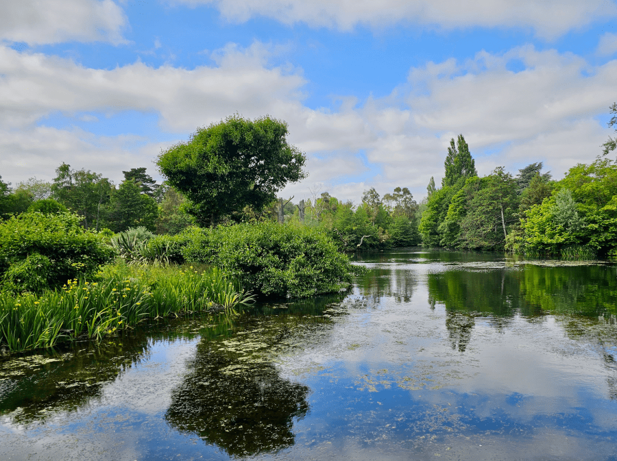 Dublin zoo water feature