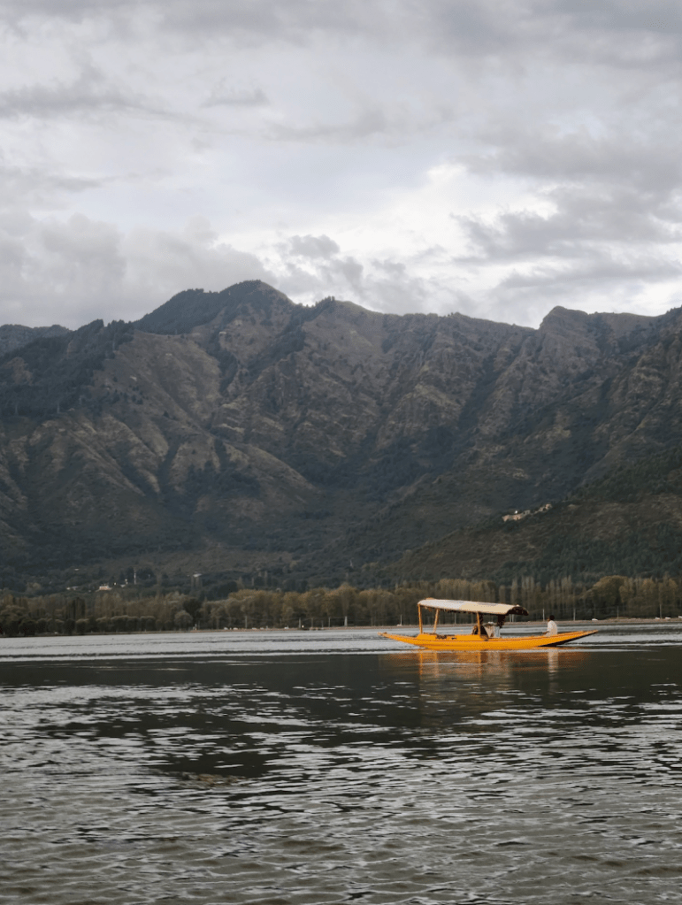 Srinagar Dal Lake shikara