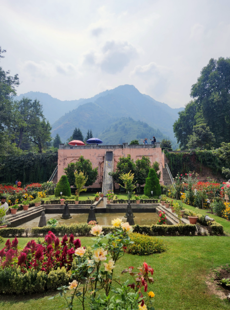 colourful garden in srinagar, kashmir