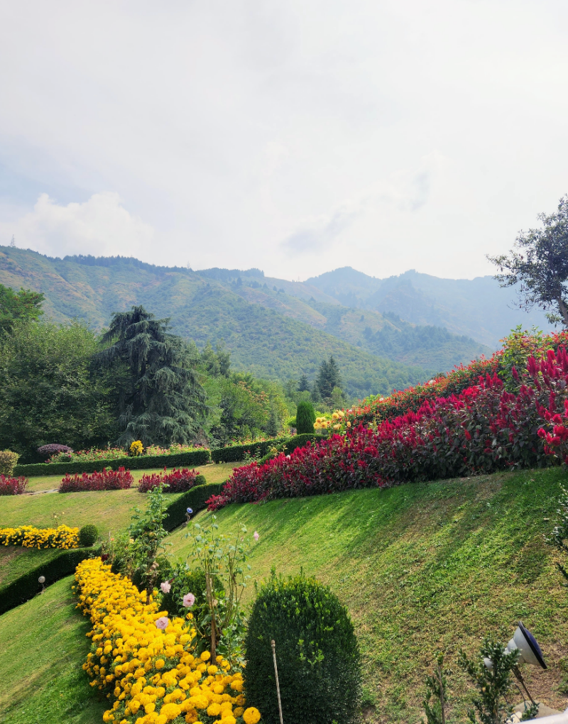 gardens of srinagar