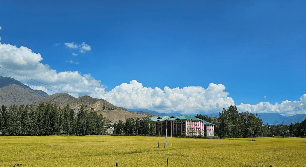 View of blue sky and green fields in kashmir, india