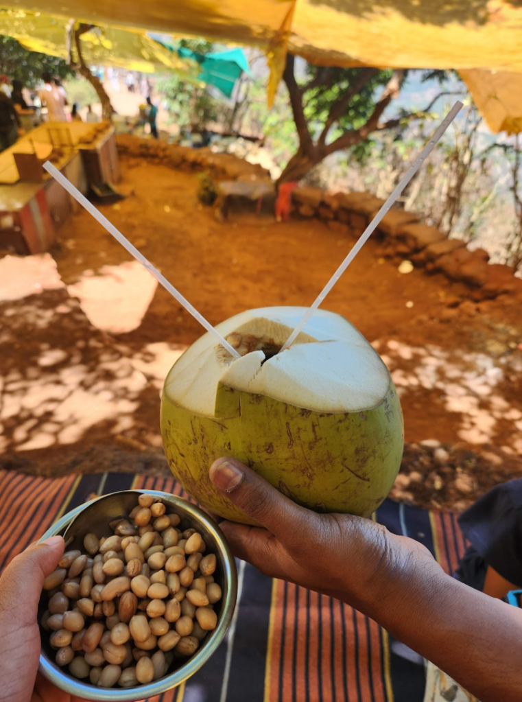 A snack break of coconut water and boiled peanuts