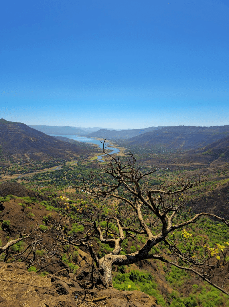 Road Trip to Mahabaleshwar: A Cool Respite from the Sweltering&nbsp;Summers