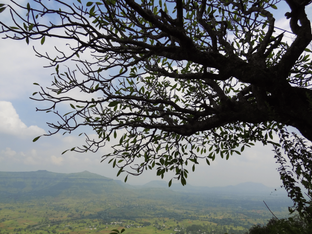 View of the valley from Sajjangad Fort