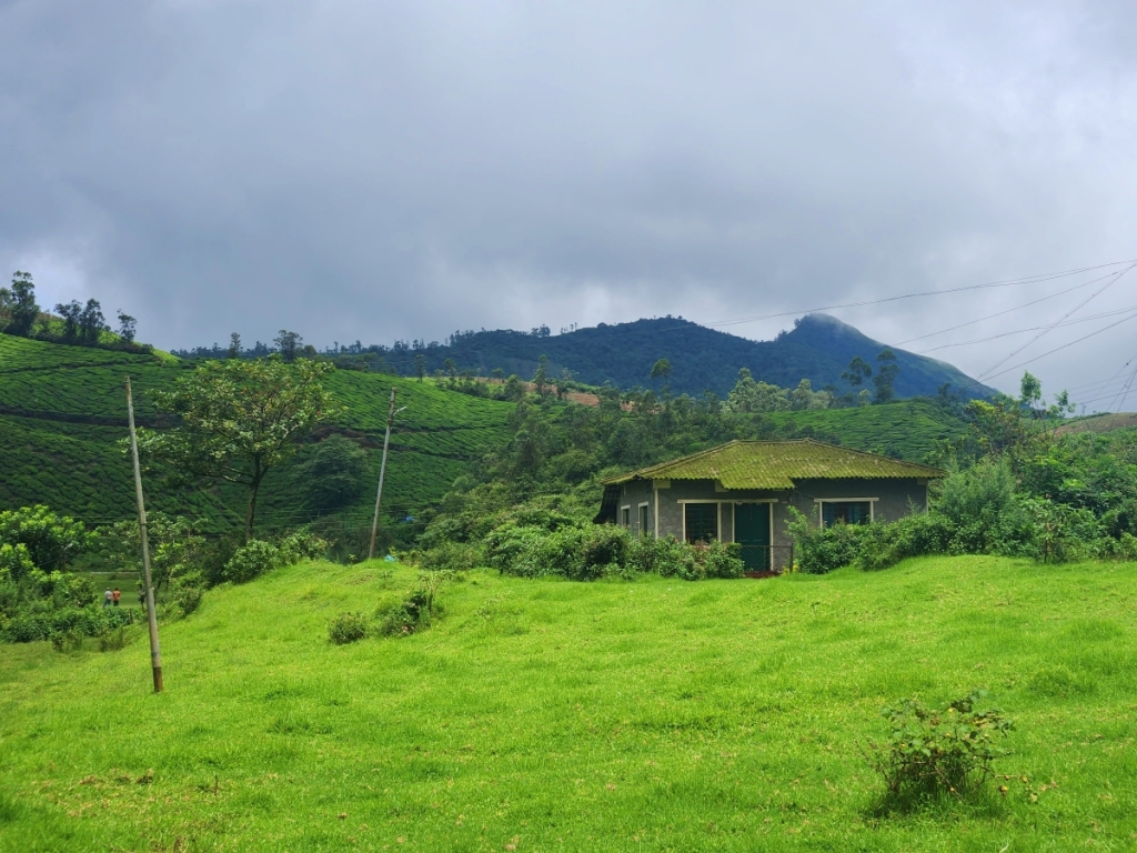 cottage in lush greenery at Munnar