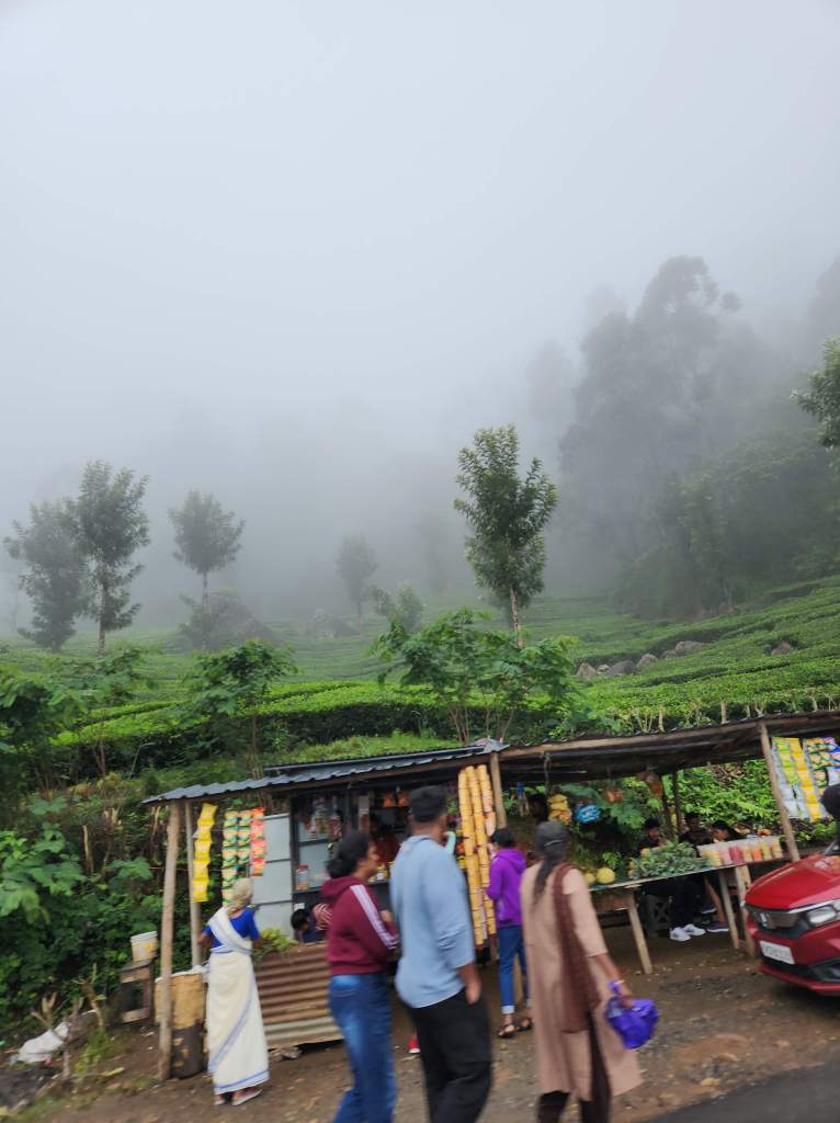 tourists in Munnar