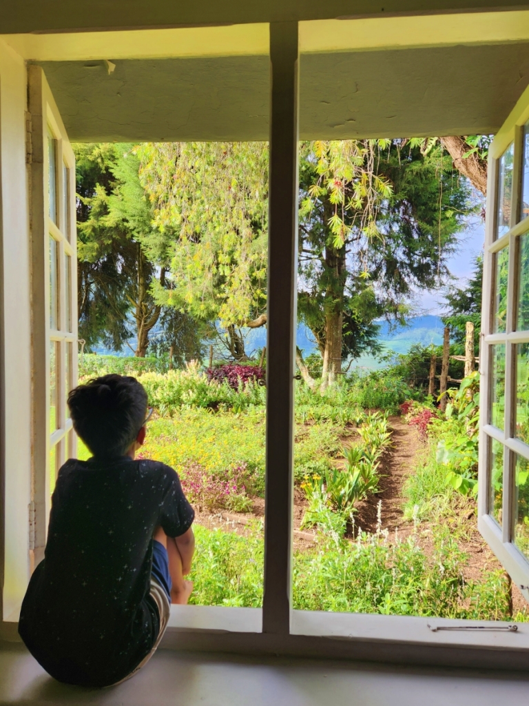 Looking out the window to the garden in Madupatty Bungalow, Munnar