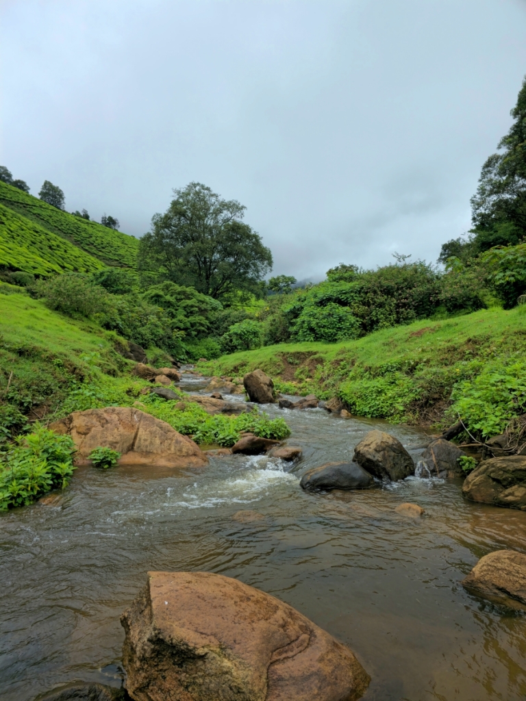stream from the Madupatty Lake in Munnar
