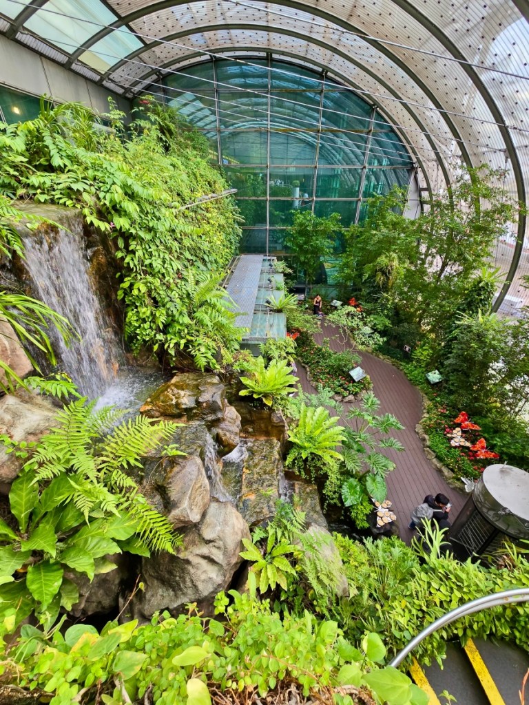 Singapore Changi Airport Butterfly garden