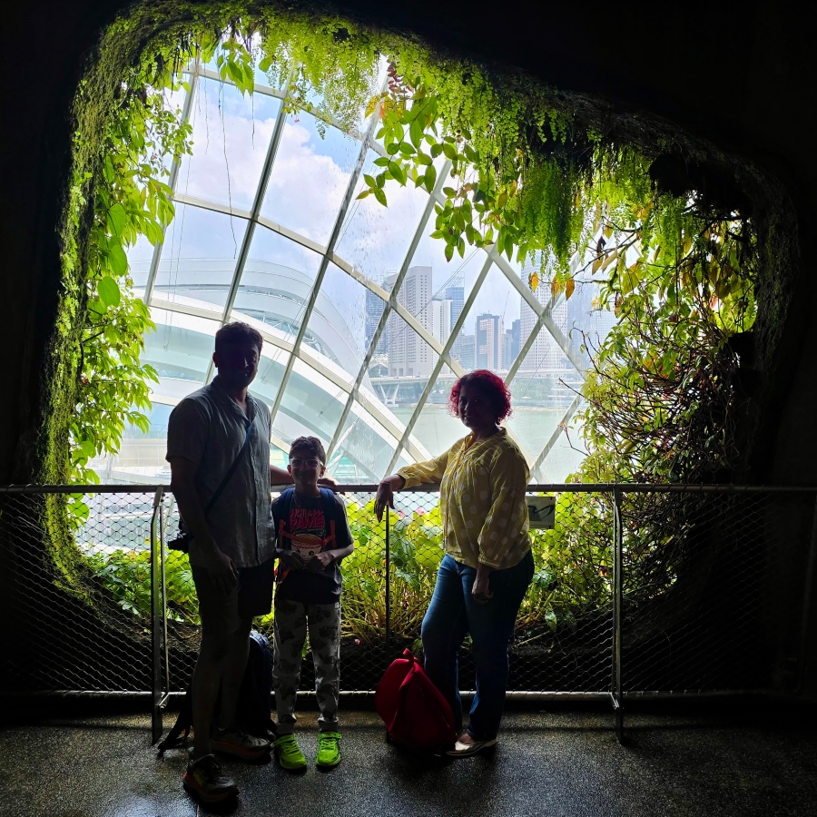 Singapore Cloud forest waterfall view