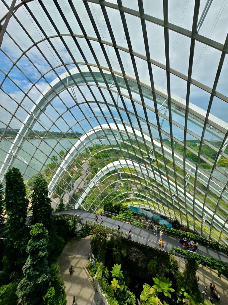 Singapore Cloud forest walkway