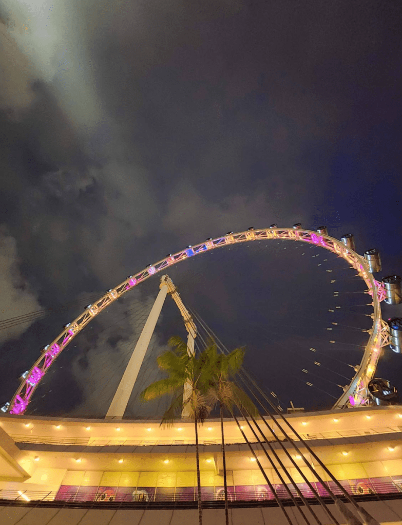 Singapore flyer ferris wheel