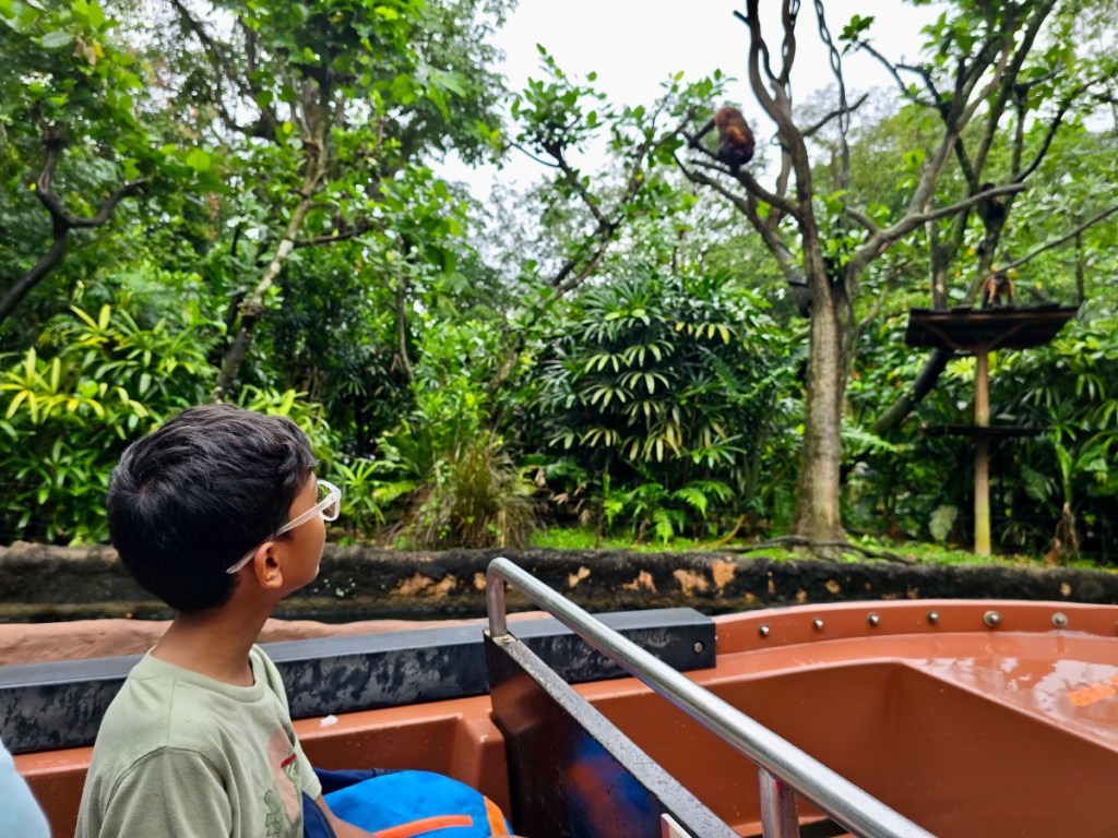 Singapore zoo river wonders boat ride