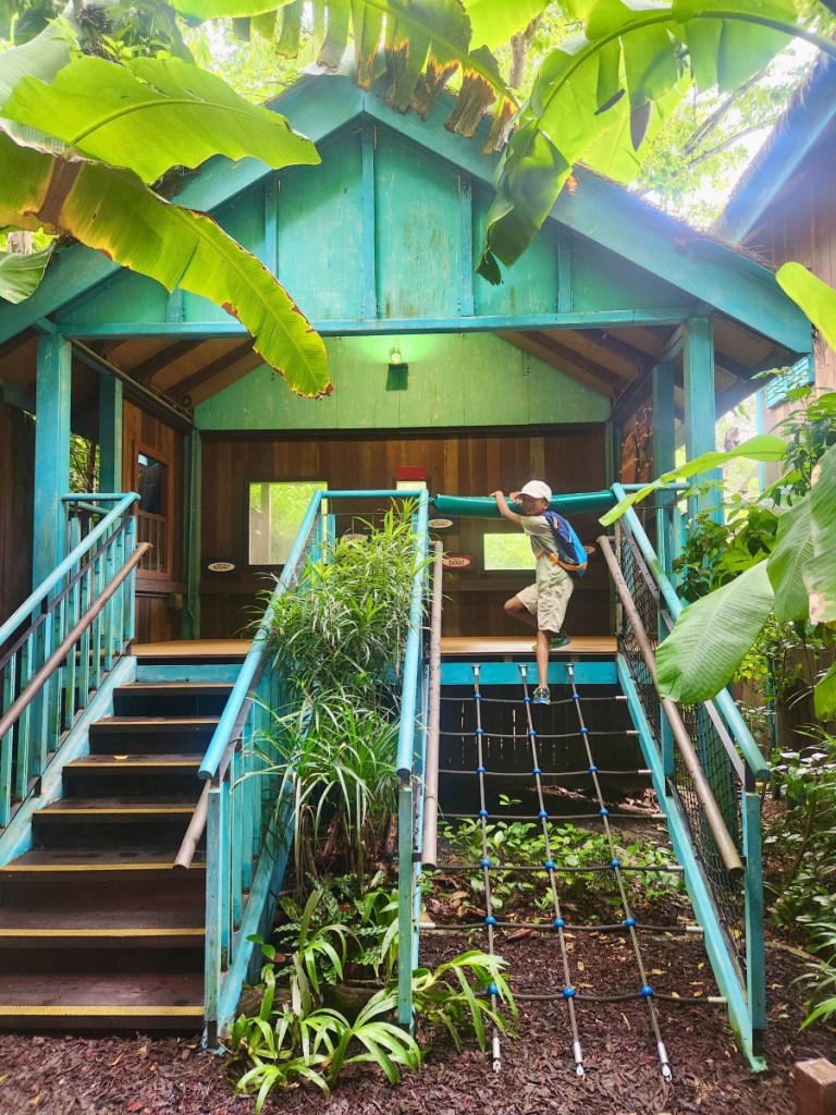 Singapore zoo river wonders