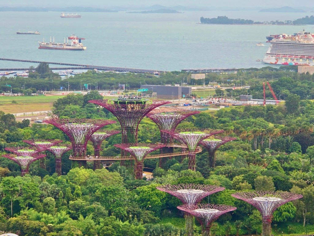 Singapore Supertree grove