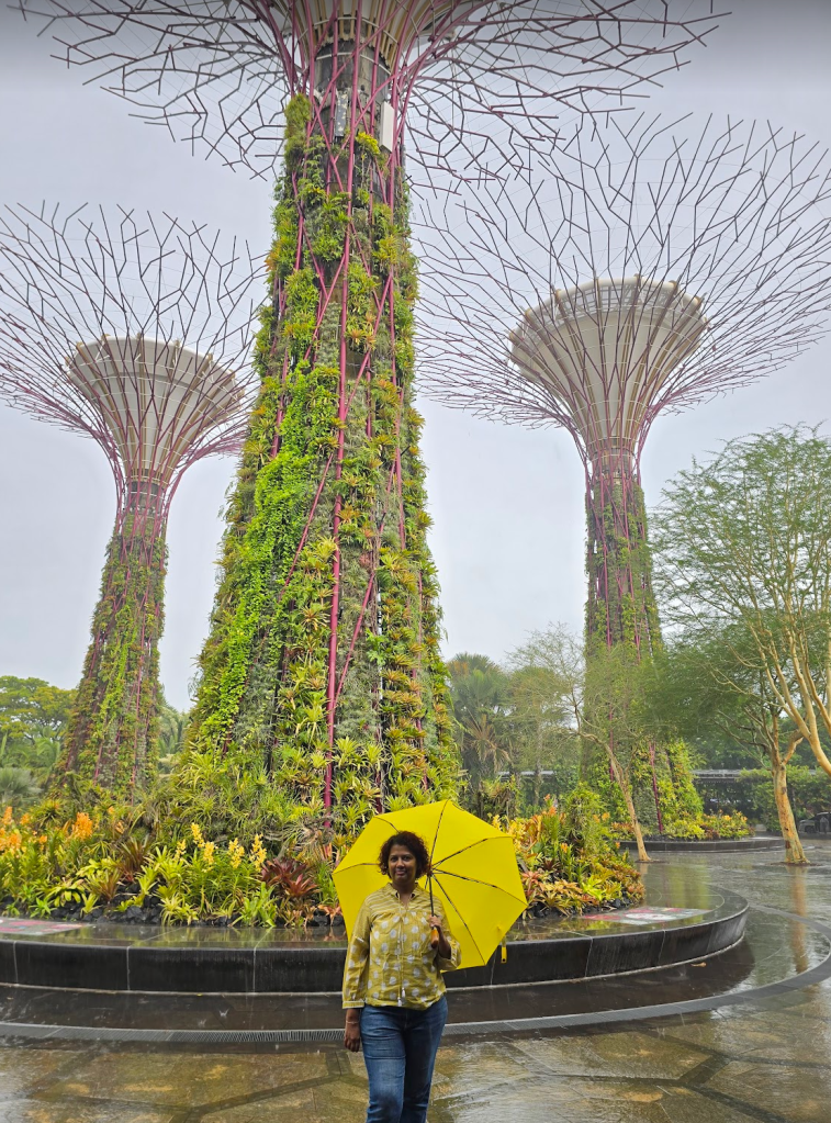 Singapore Supertree grove